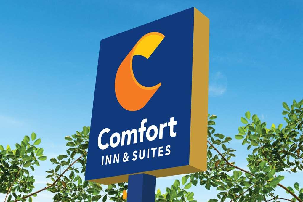 Comfort Inn & Suites Us-60 Mountain Grove ภายนอก รูปภาพ